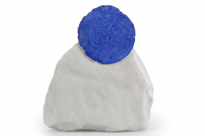 Vibrant Blue Azurite Sun on Siltstone - Australia #361220